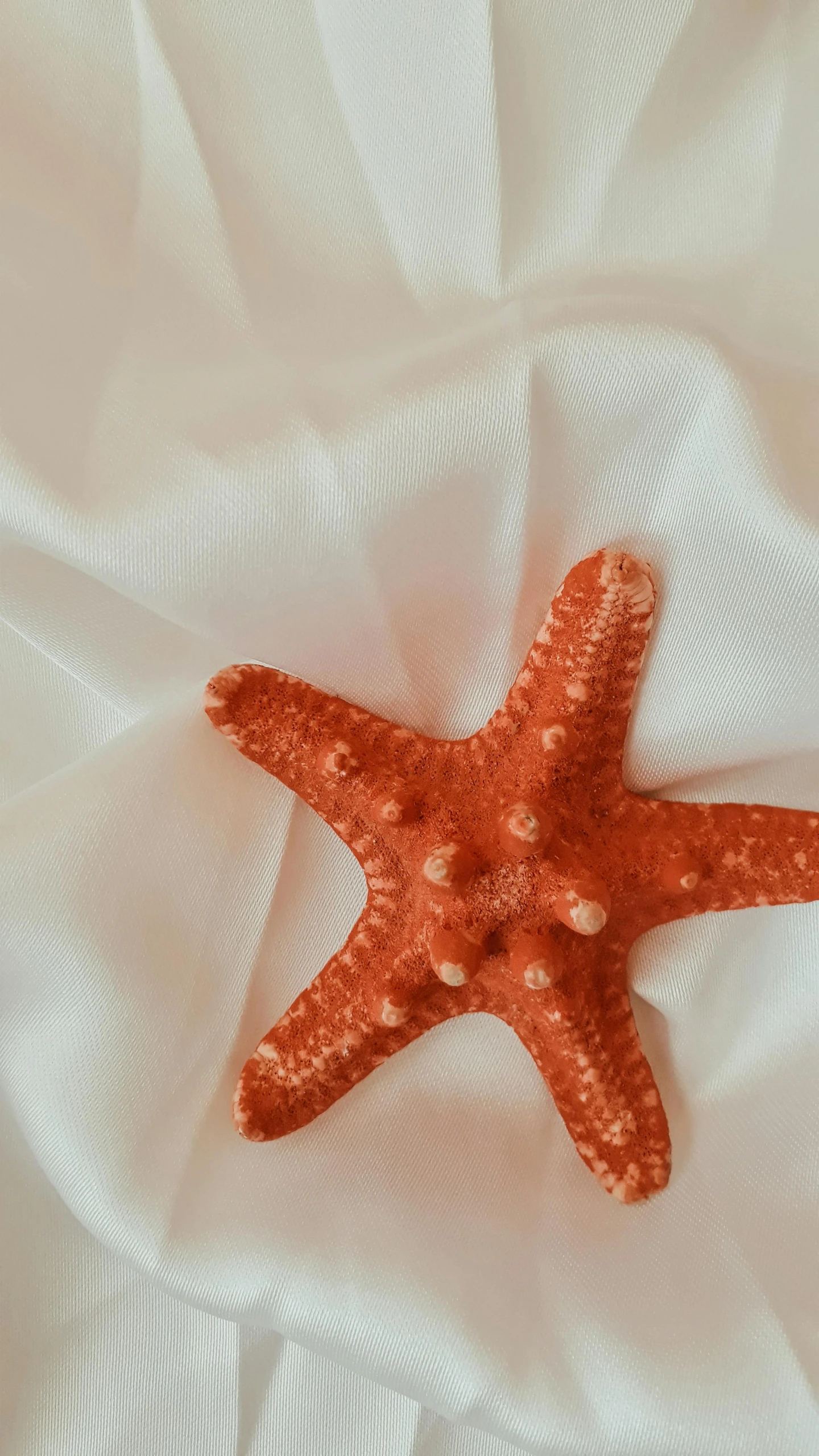 a small starfish lays in the sand on a white cloth