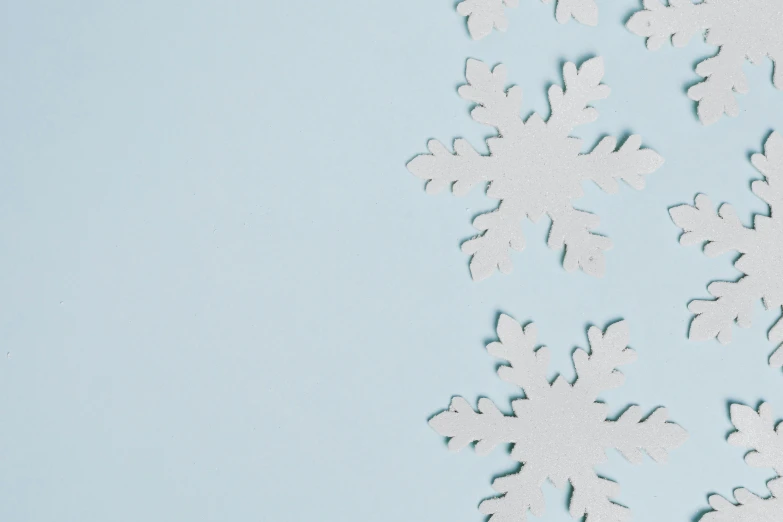 the snowflakes are on the left side of the image