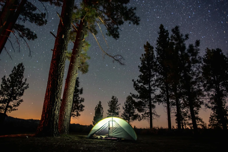 a tent in the middle of the woods