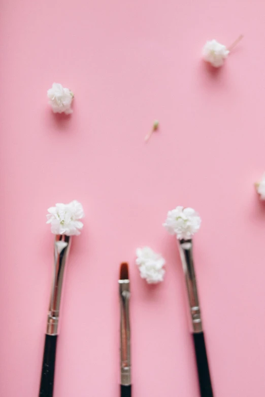 five brushes in various positions with white flowers