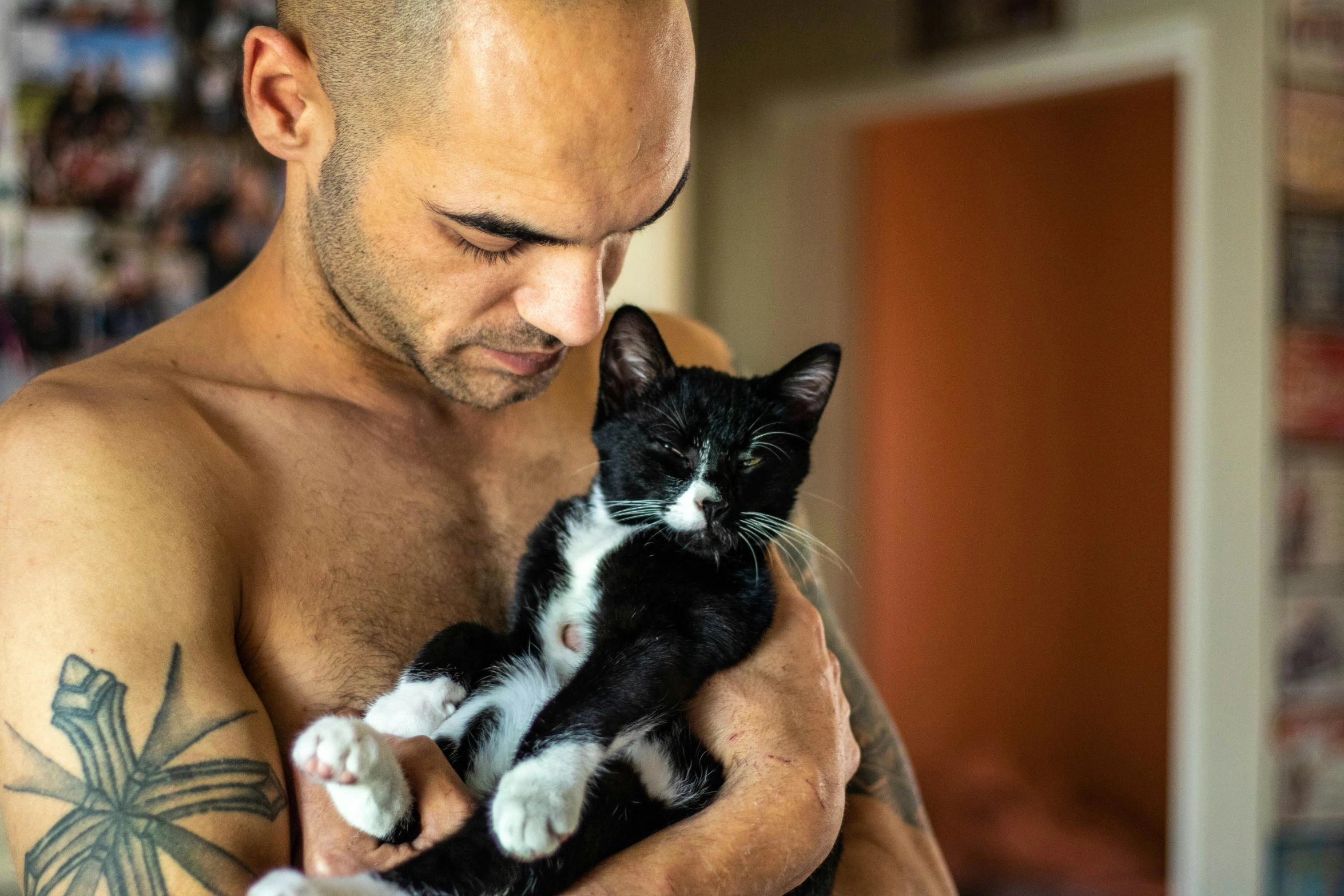 shirtless man holding a cat in his right arm