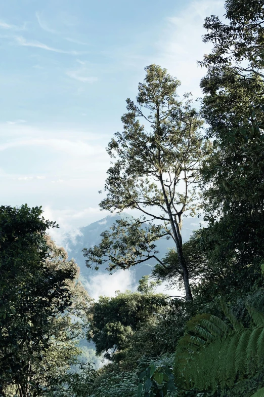 a bench that is next to a mountain