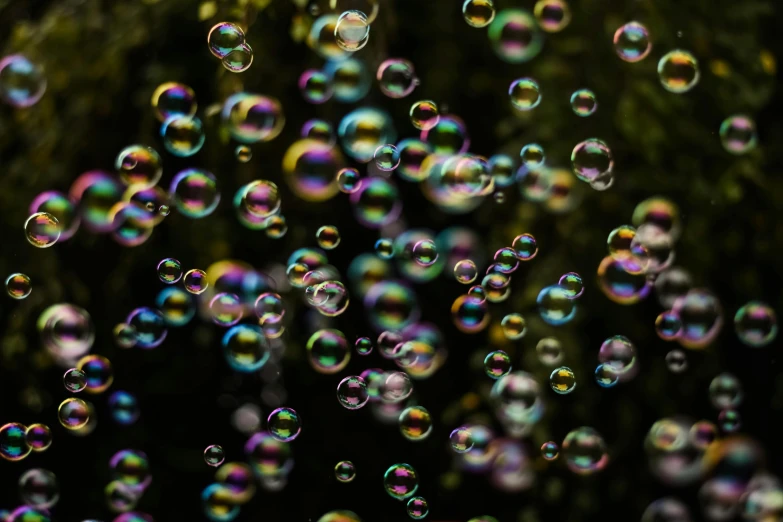 many bubbles floating in the air near trees