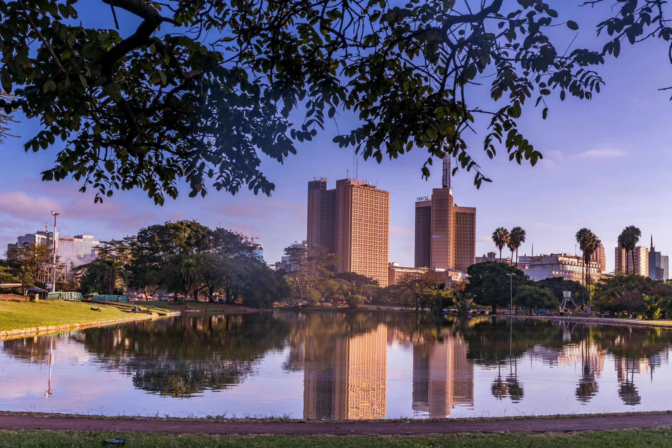 the city has tall buildings and trees in front of it