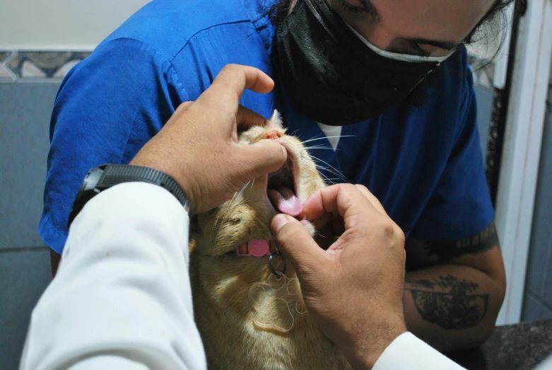 a man holding an animal in his hands