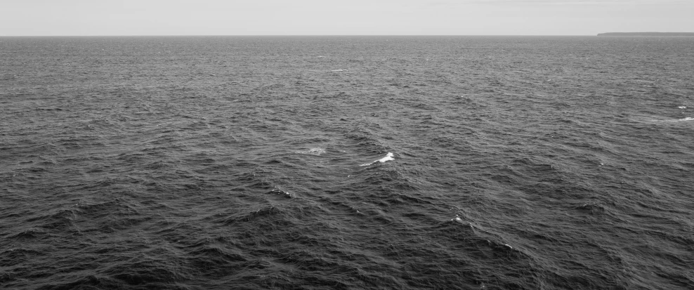 black and white pograph of seagulls flying around on the ocean