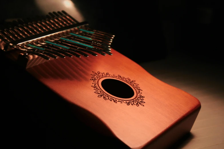 the strings on the wooden musical instrument are showing