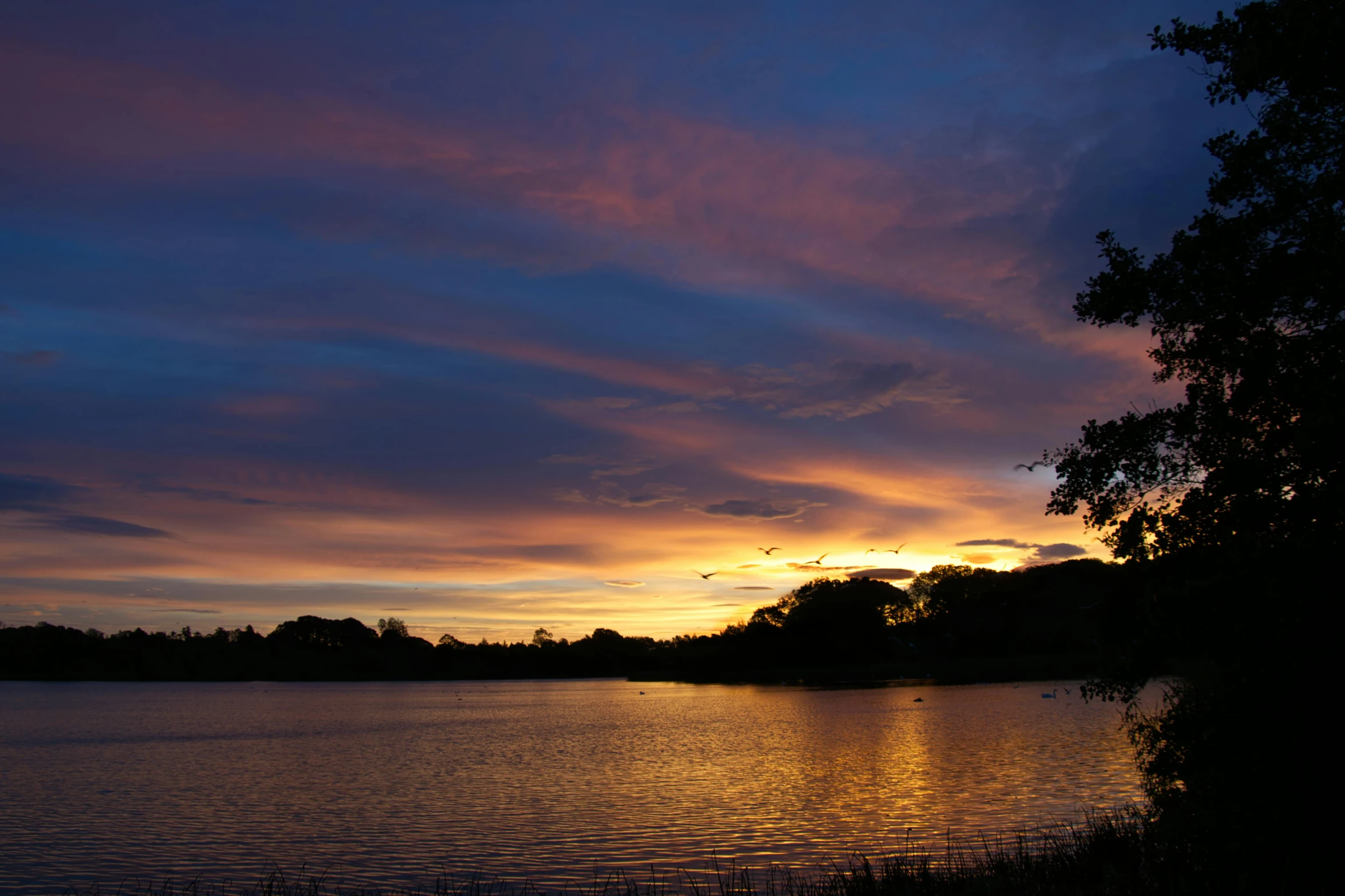 the sun is setting over a lake, it has a purple and blue sky