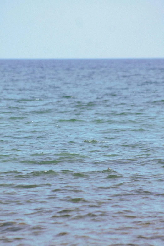 a surfer riding a surf board on the ocean