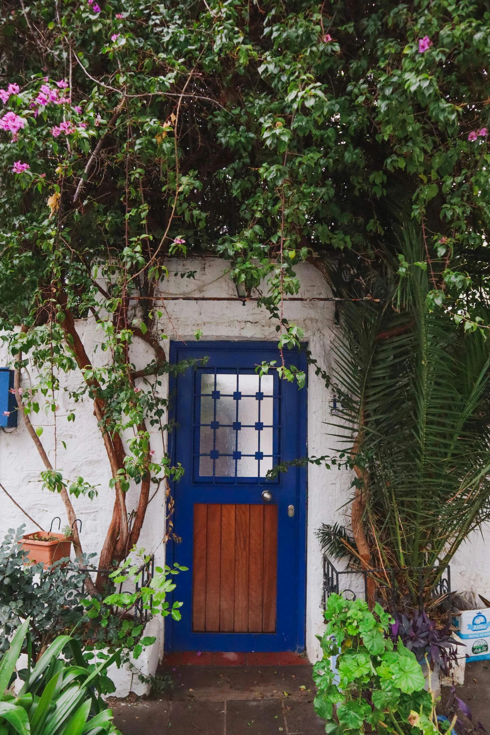 the blue door is closed outside of this house