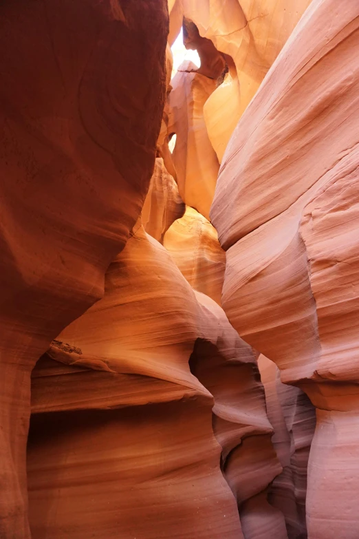 an outcropping of rocks is shown with sunlight