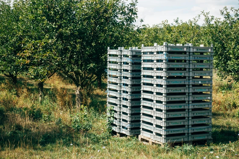 crates sit in the grass with trees near by
