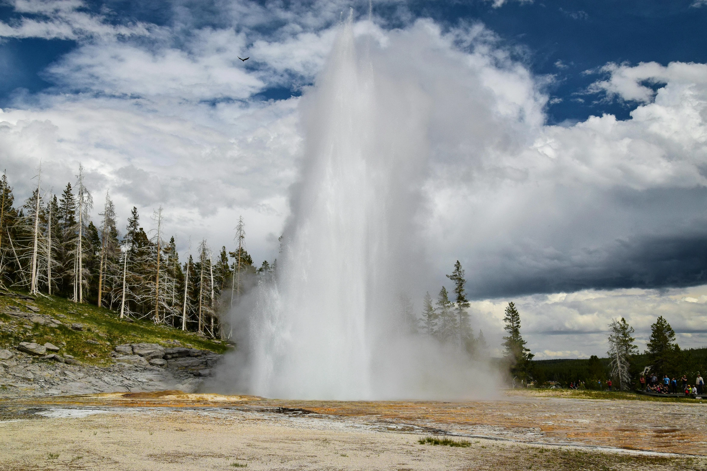 an old geyser stands in a park on the mountain side