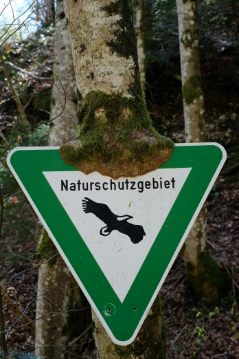 a german road sign hangs from a tree in the forest