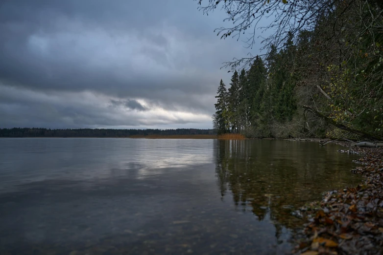 there is a body of water with some trees