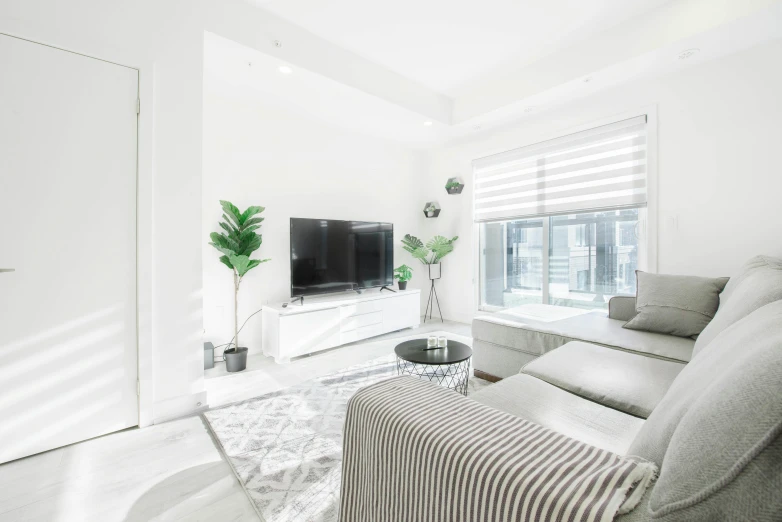 a living room with a couch, table and television