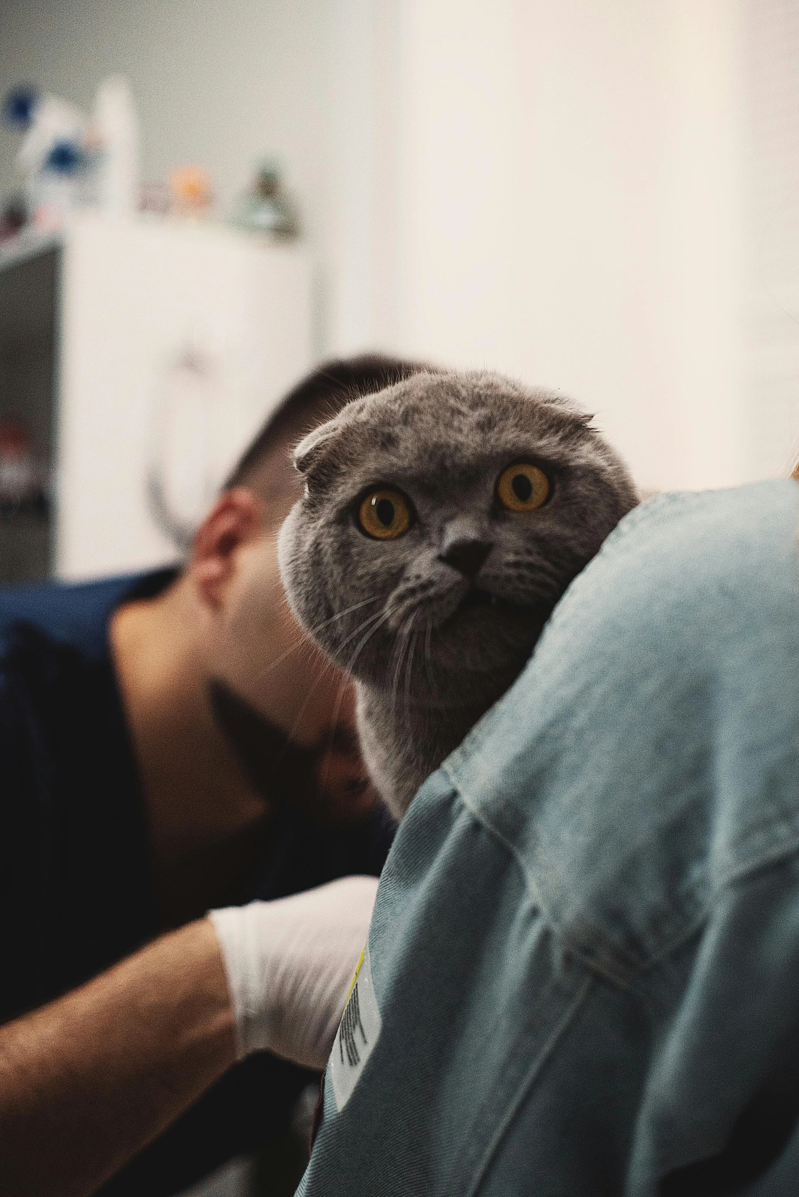 a man holds his cat's head while in bed