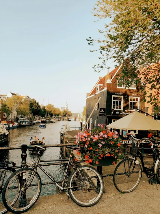 several bicycles parked near the edge of a body of water