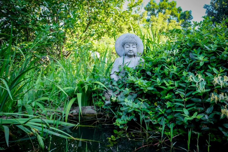 there is a buddha statue outside in the bush