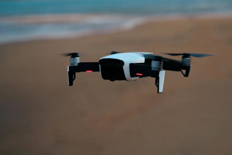 a black and white flying by some water on the beach