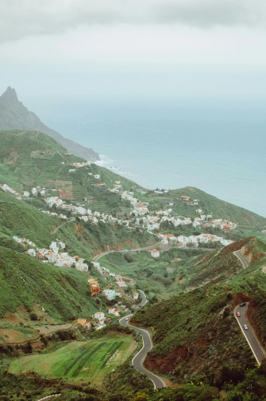 a green mountain with some trees and a road going through it