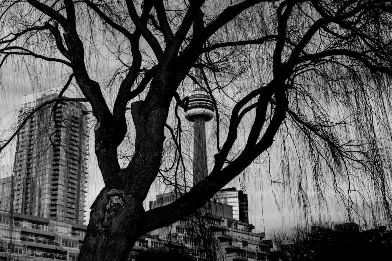 a view of the skyline from across a park in the rain