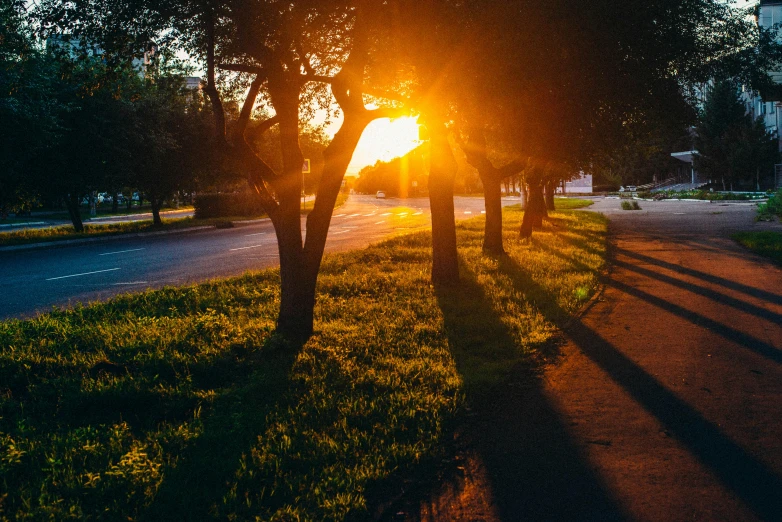 the sun rises through some trees to reveal the sunlight