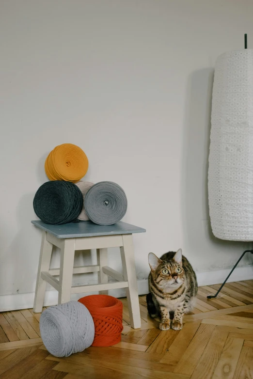 a cat sitting on the floor next to knits and yarn