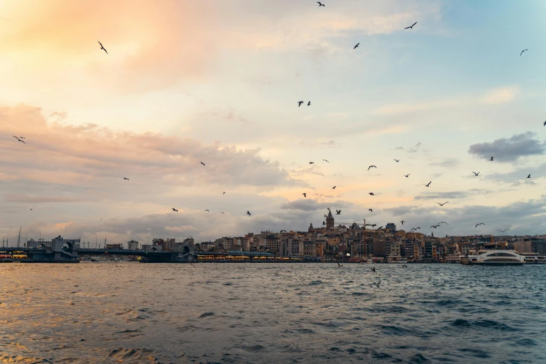 a lot of birds that are flying over some water