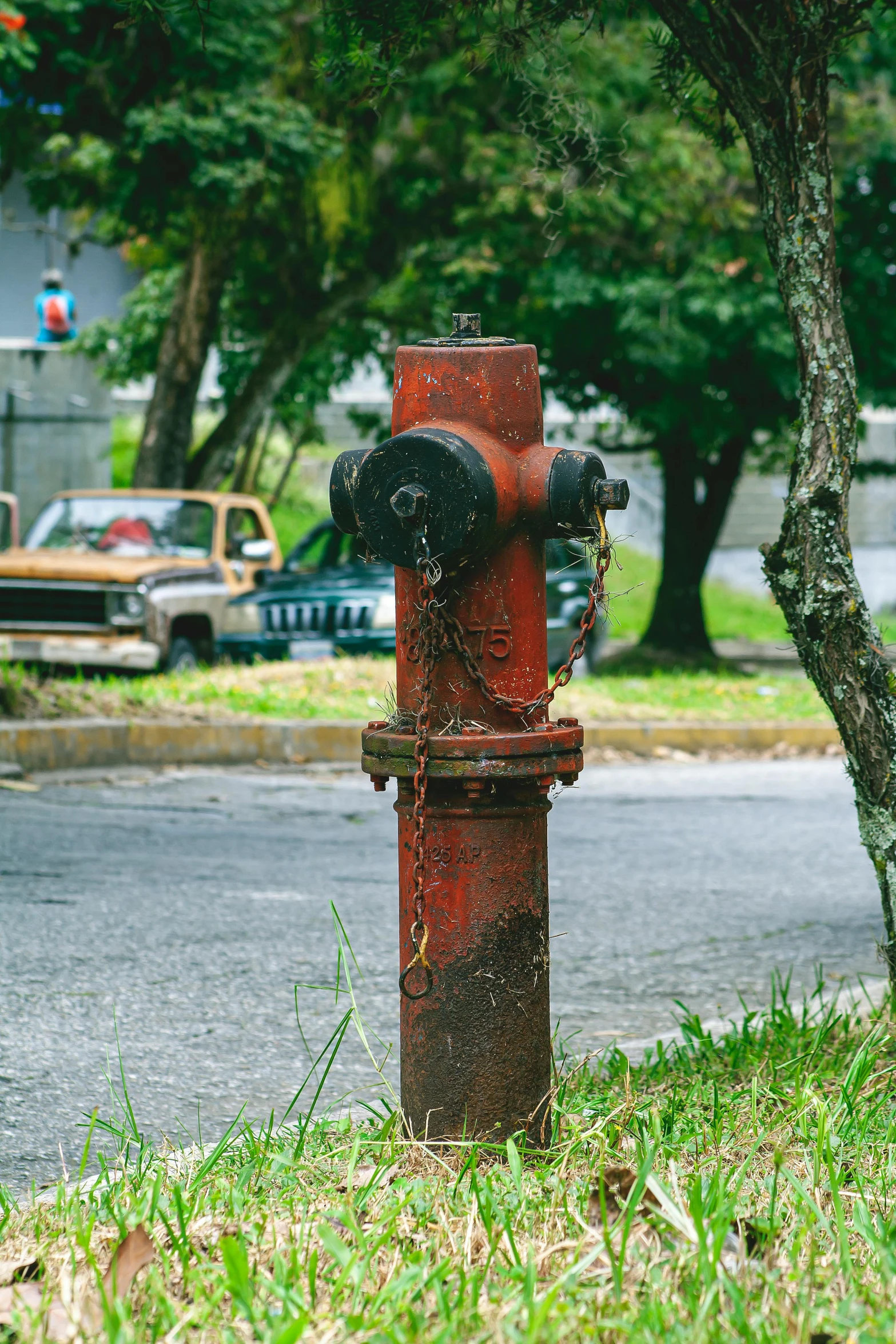 a fire hydrant on the corner of the street