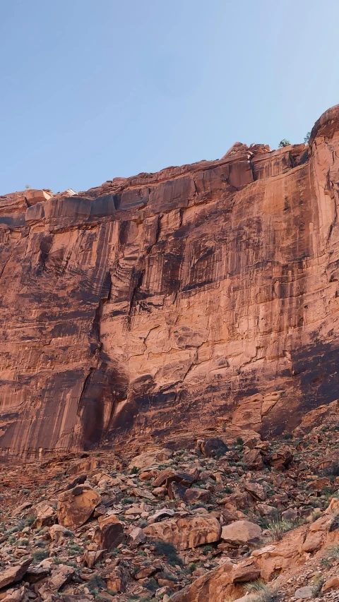 a bird flying over a rocky hillside on top of a hill