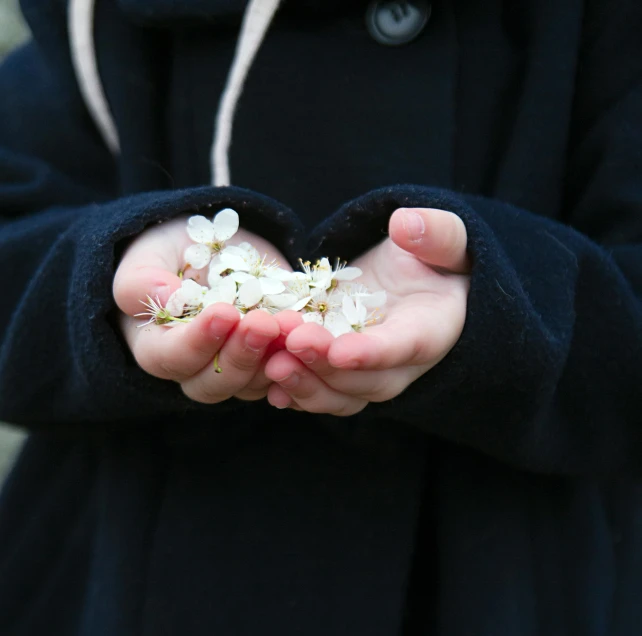 young person holding several pieces of flowers in her hands