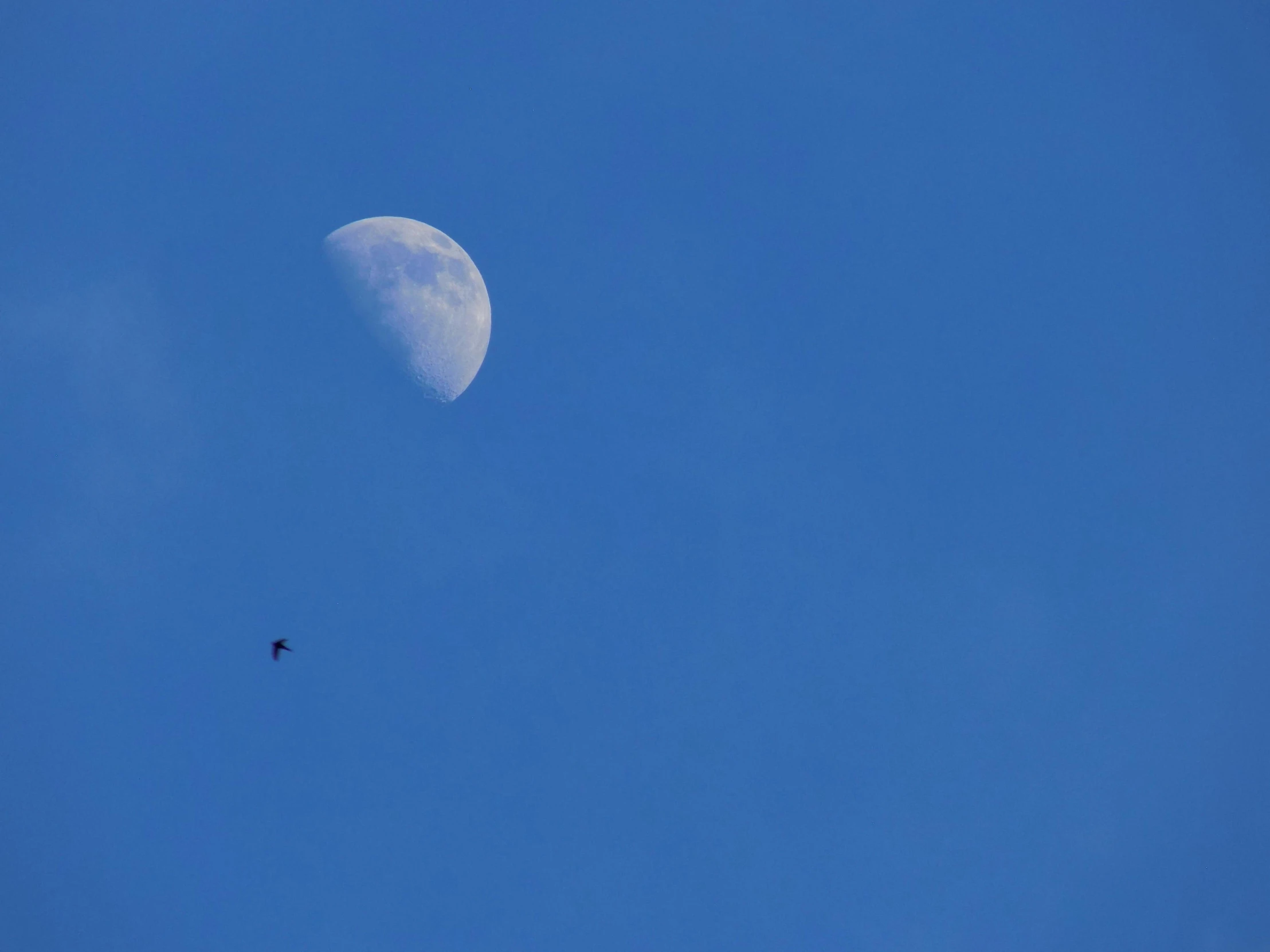 the moon is half gone in a clear blue sky