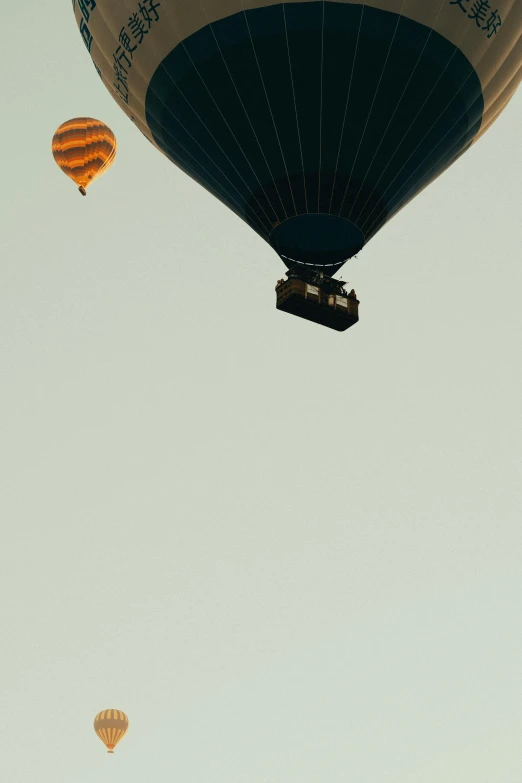 several  air balloons are flying in the sky