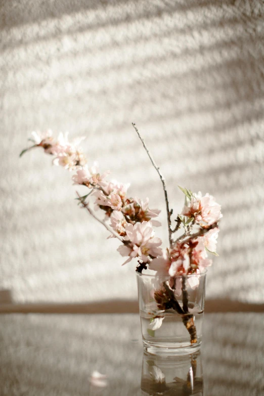 the small pink flowers are in a clear vase