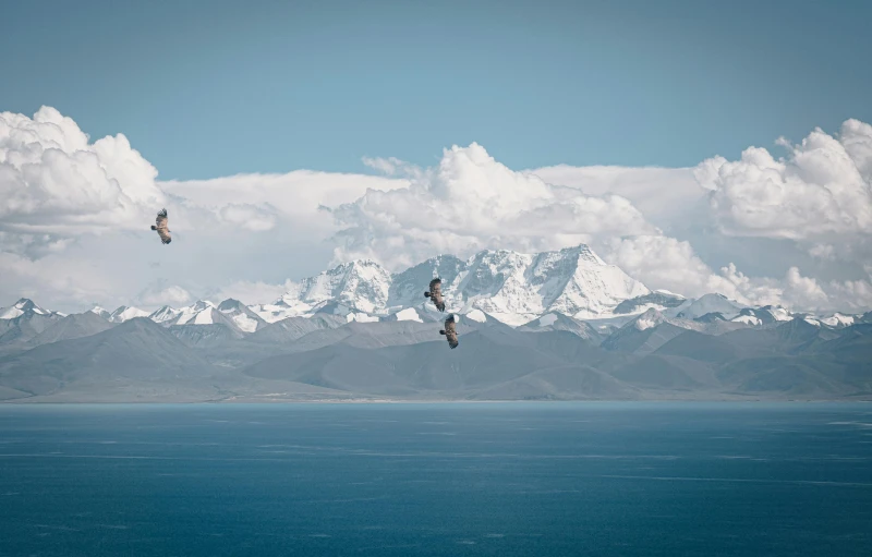 two people in the air with some kites above a body of water