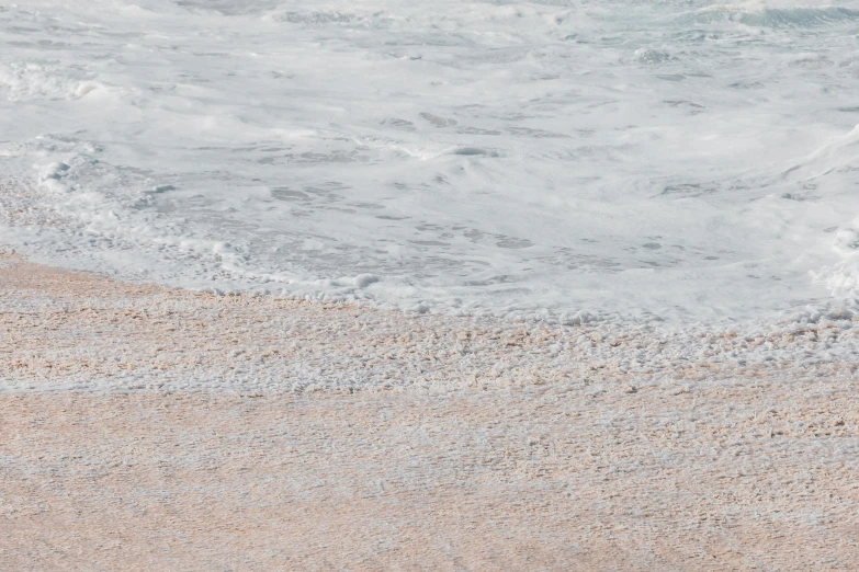 a seagull walking on sand at the beach with foam