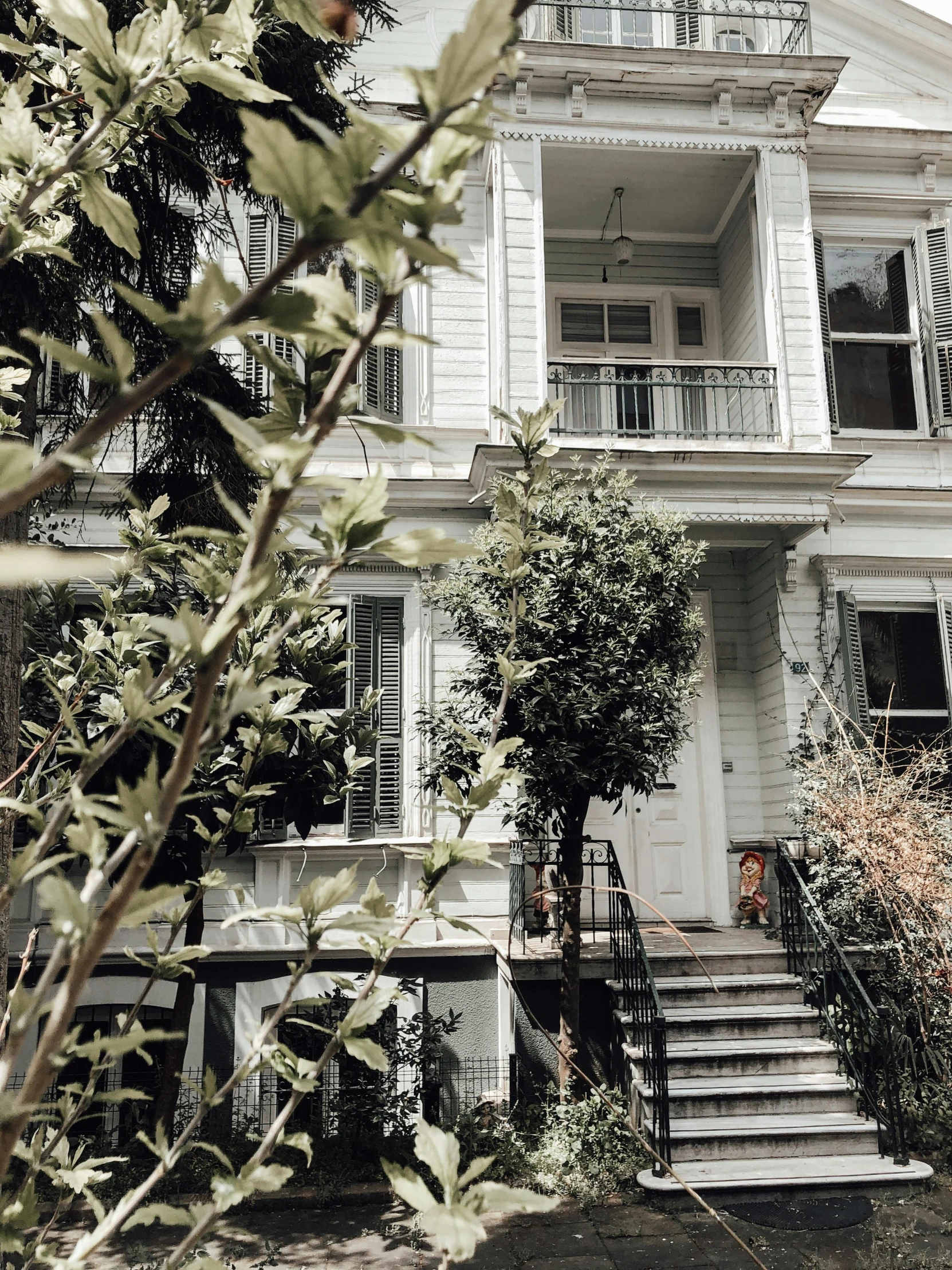 an image of some flowers in front of a house