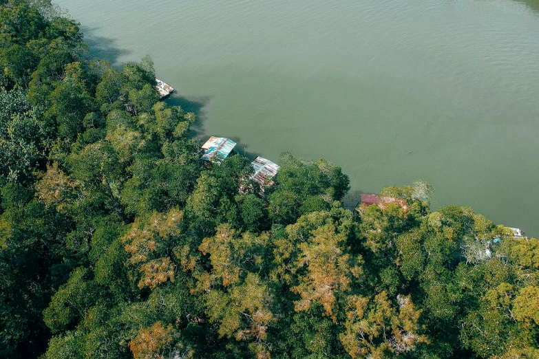 a lake with lots of trees surrounding it