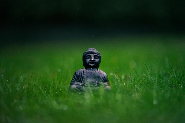 the buddha statue is sitting in the grass