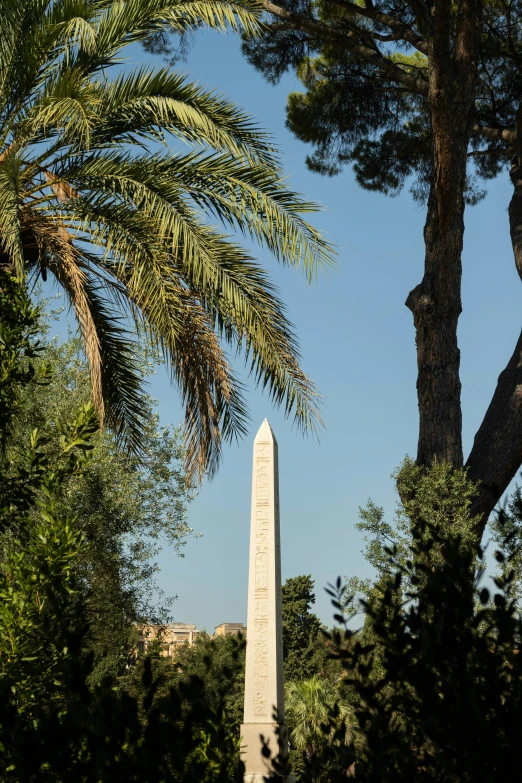 a tall obelisk standing in the middle of trees