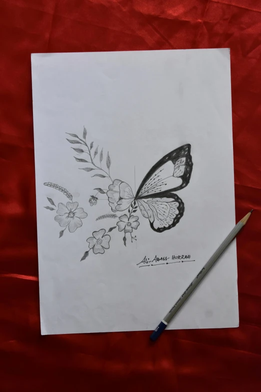 a picture of an old erfly and its sketch on a sheet