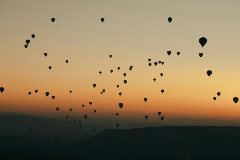 a large number of balloons are flying in the sky