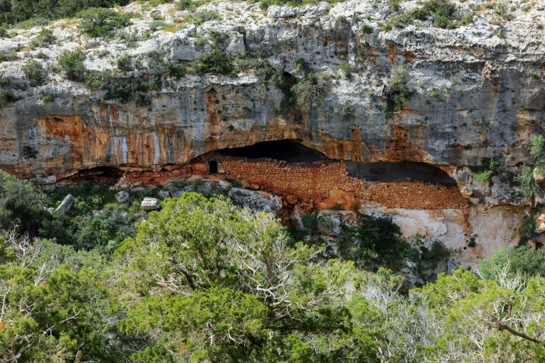 a large cliff covered in lots of trees