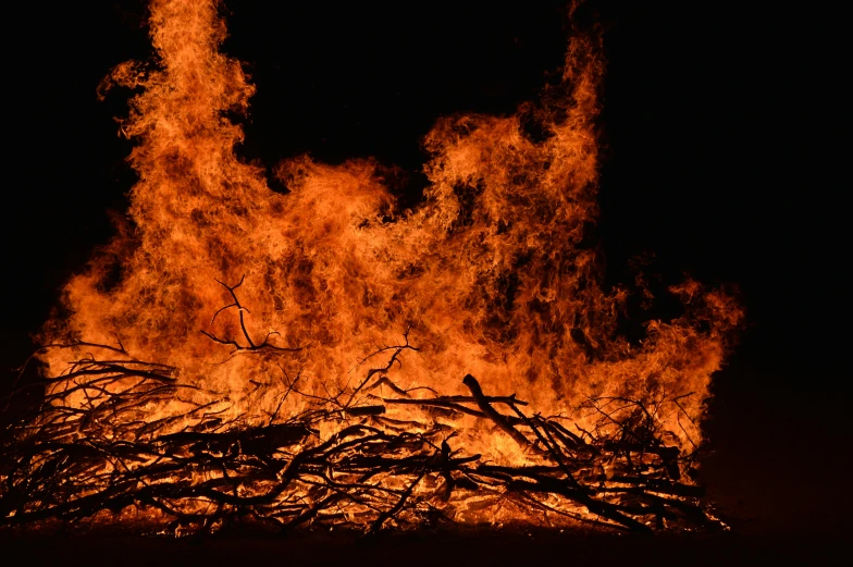 fire and nches burning at night with dark background