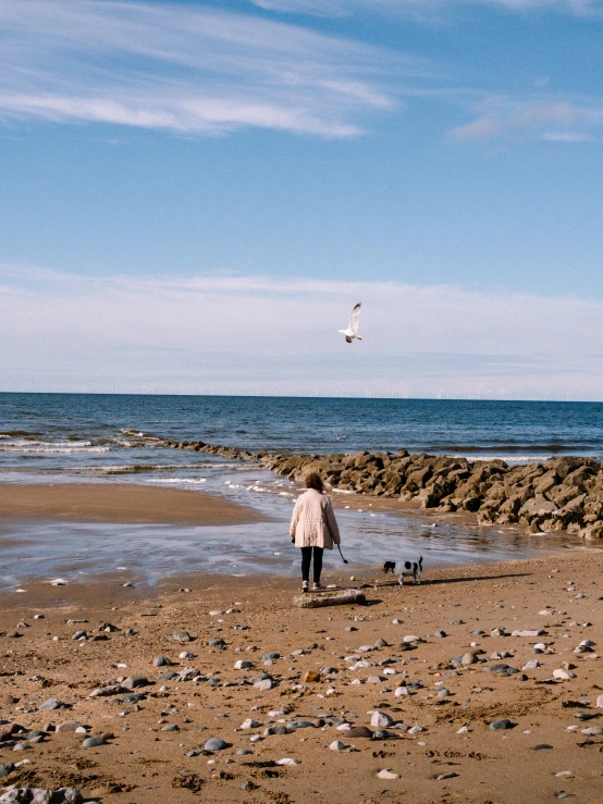 a boy walking on the beach with his dog