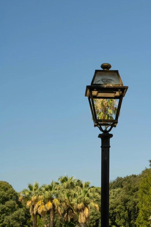 a street light with a picture on the top of it