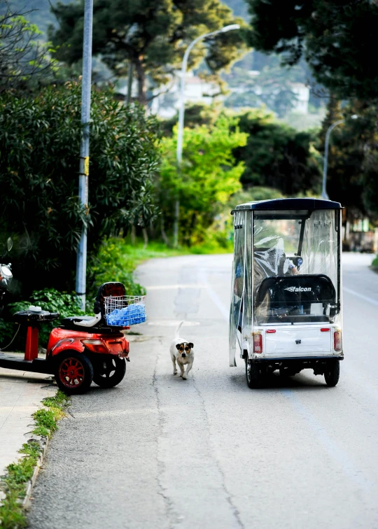 the small golf cart has a small dog by it