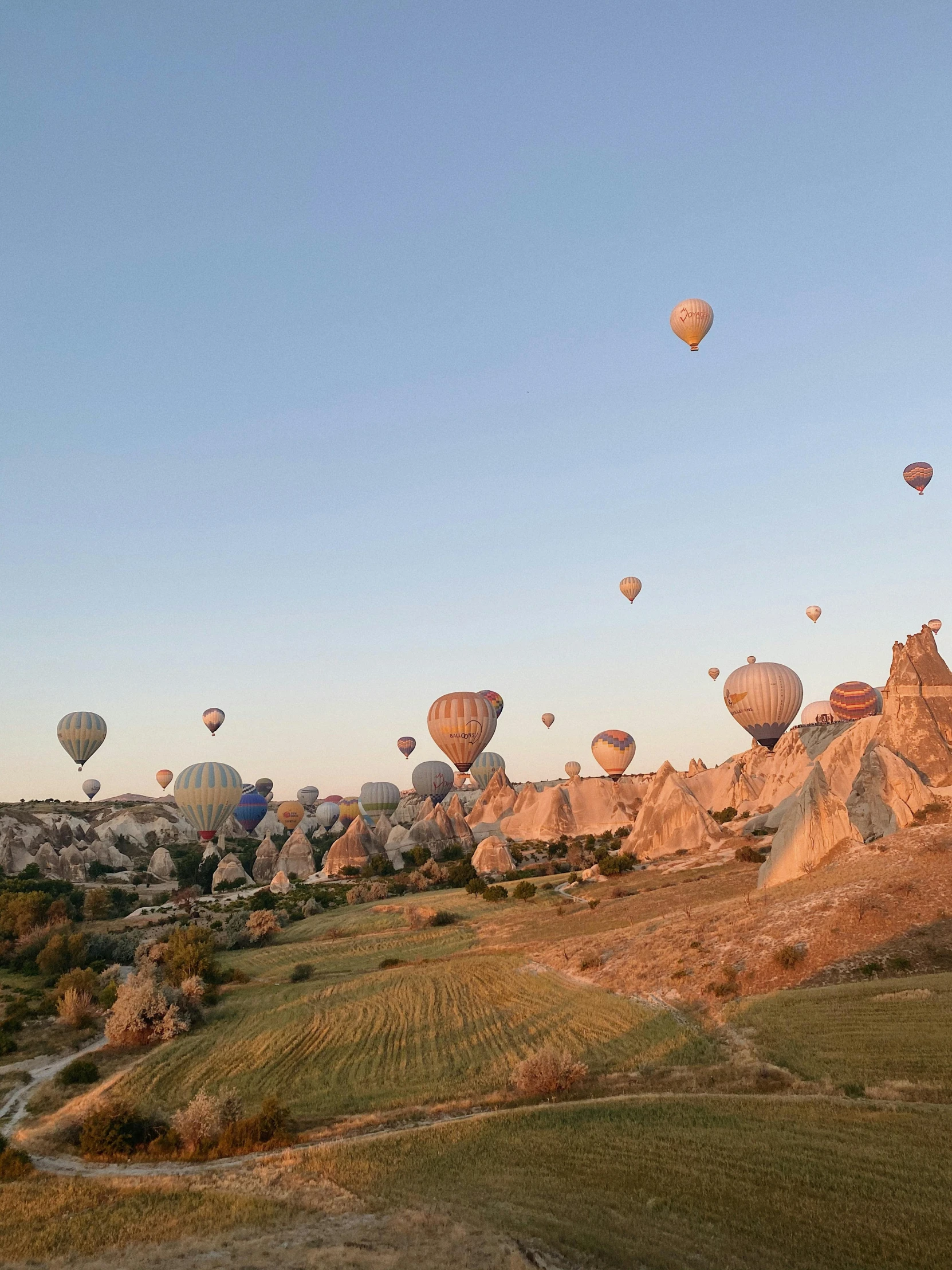 many  air balloons in the air over a small patch of land