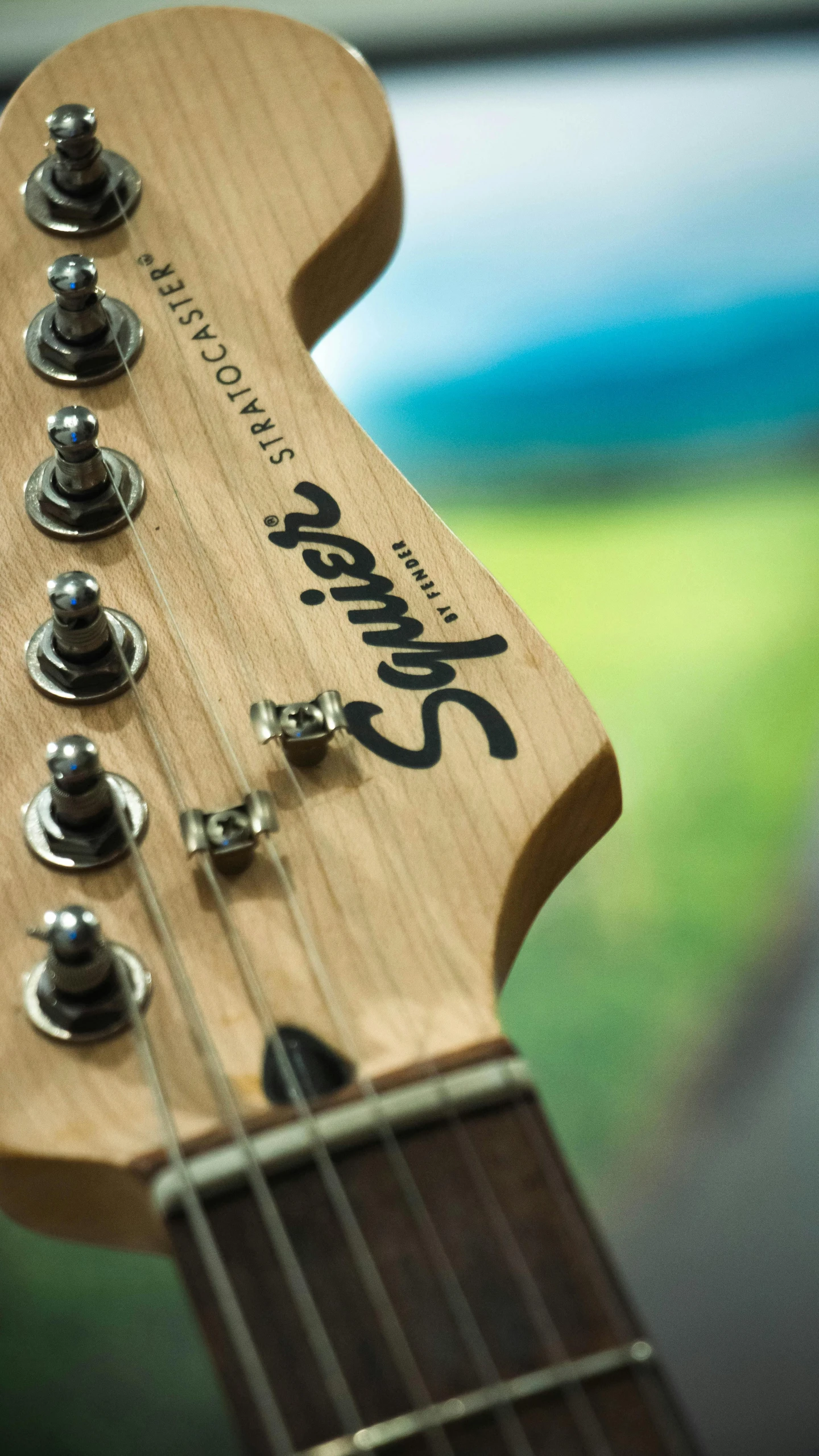 the guitar string and frets on the bridge of the fender